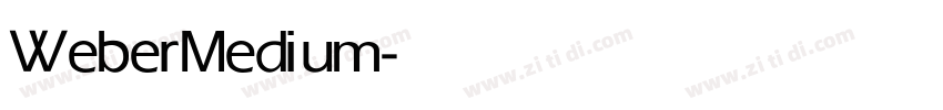 Weber Medium字体转换